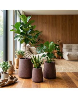 Aros - Hafif Beton Saksı Aros - Hafif Beton Saksı