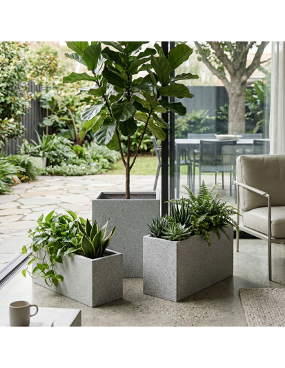 ECKIG Hafif Beton Saksı 