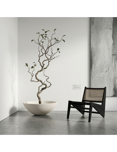 BONZA Hafif Beton Saksı